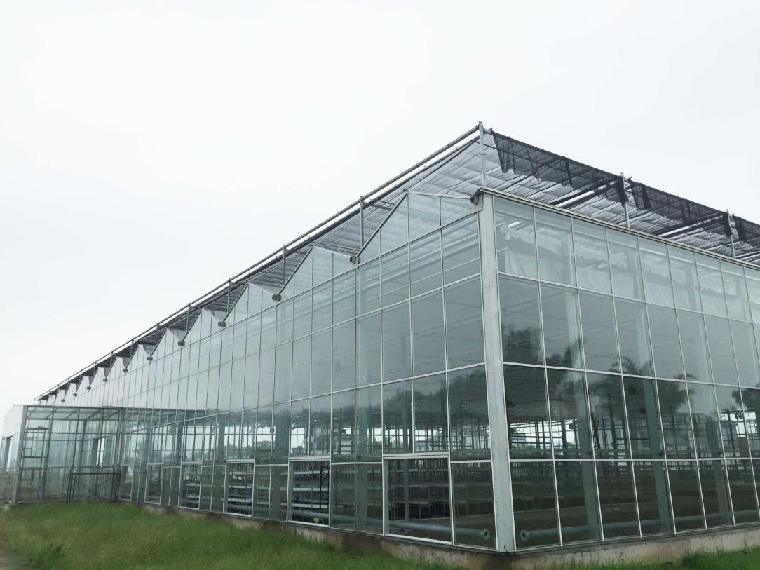 文洛溫室展示