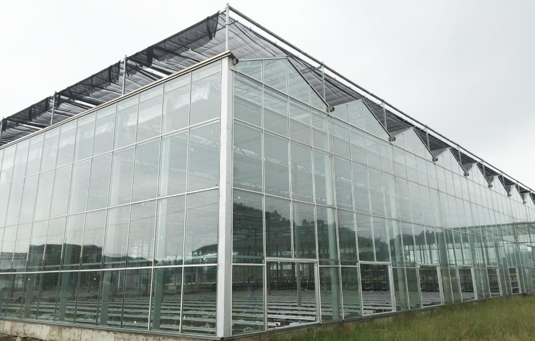 四川文洛溫室展示