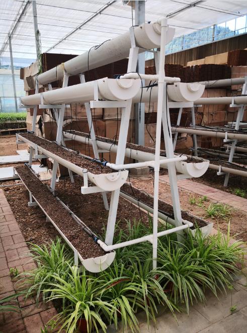 重慶大棚種植廠家