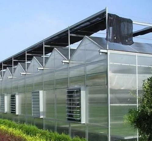 四川花卉大棚溫室栽培如何管理？大棚養(yǎng)殖花卉的好處