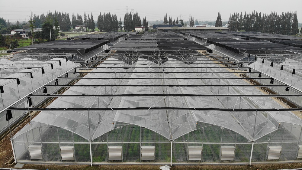 薄膜溫室大棚建設(shè)的問題處理和采光影響因素