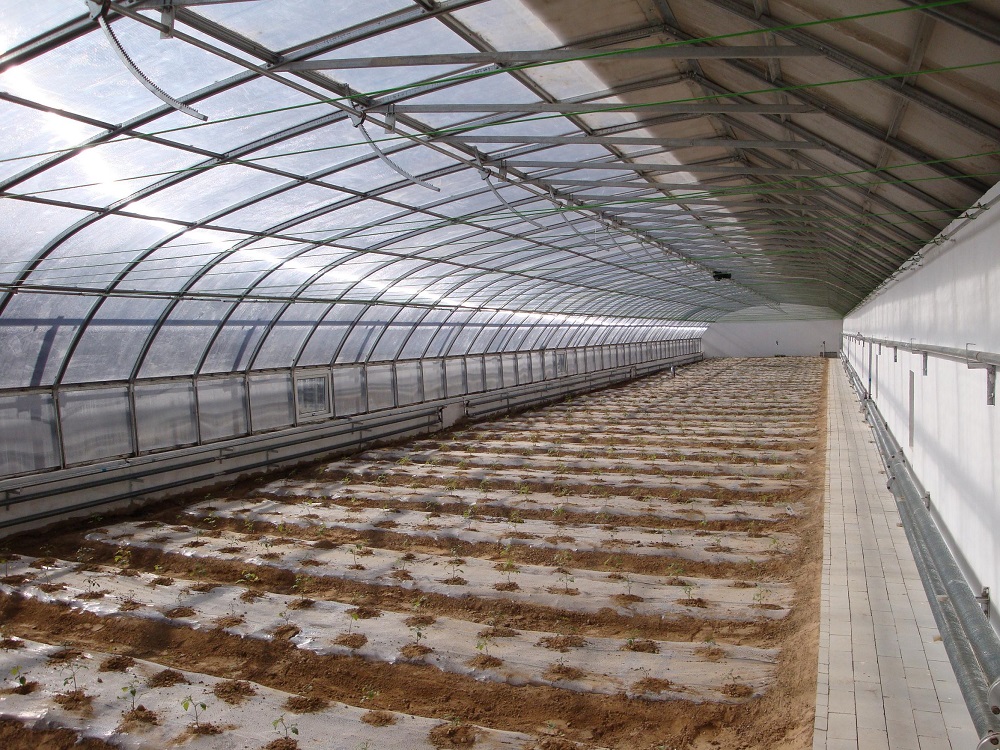 溫室蔬菜種植測土施肥技術(shù)是什么？