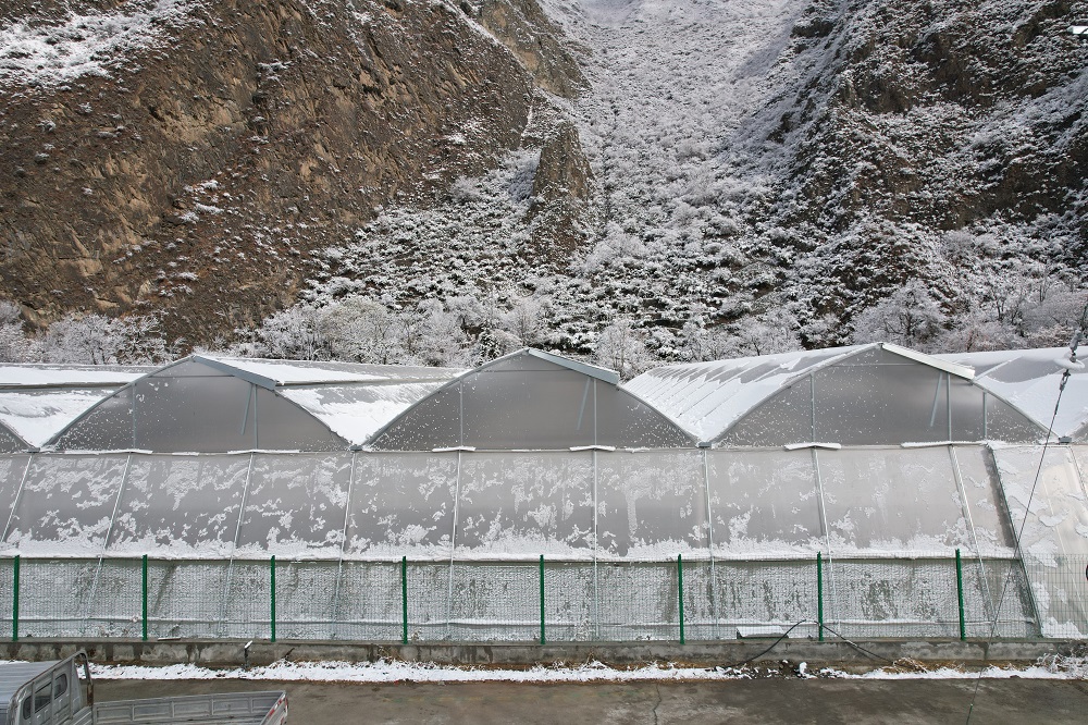 冬季，蔬菜大棚連續(xù)遇到雨雪天氣該怎么辦？